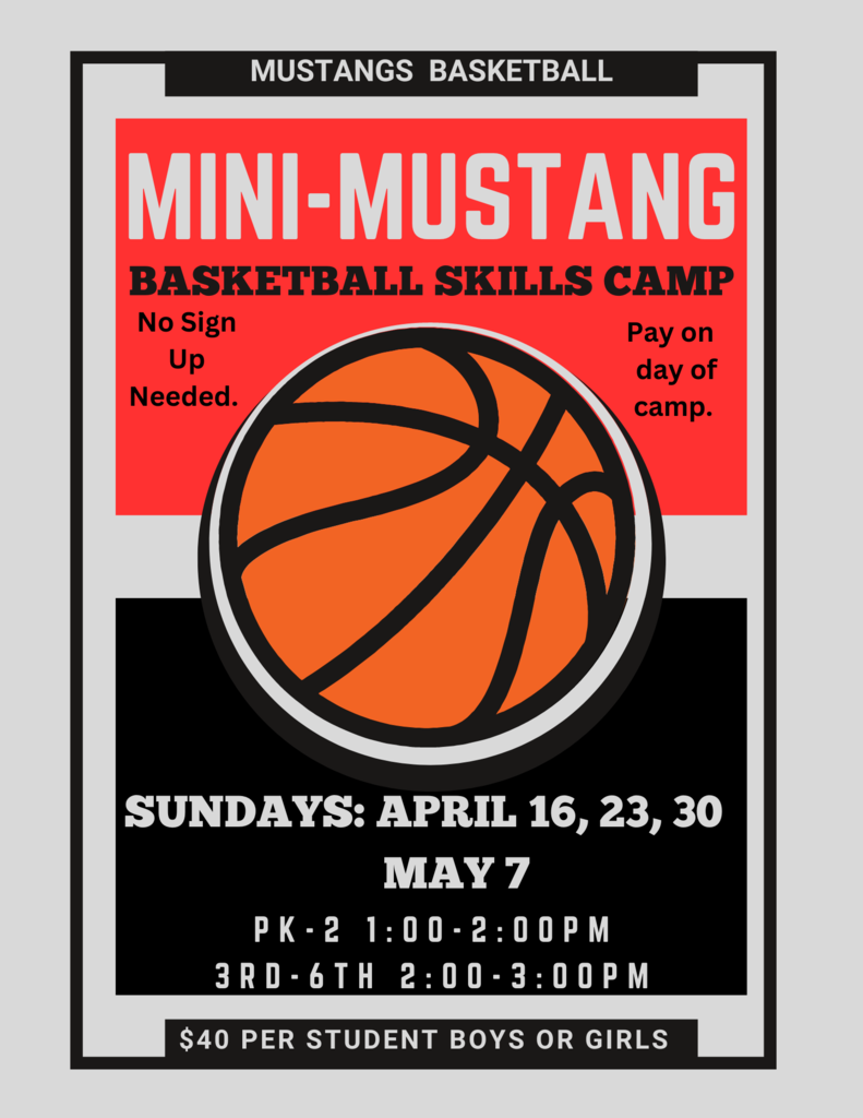 Live Feed Minto Public School