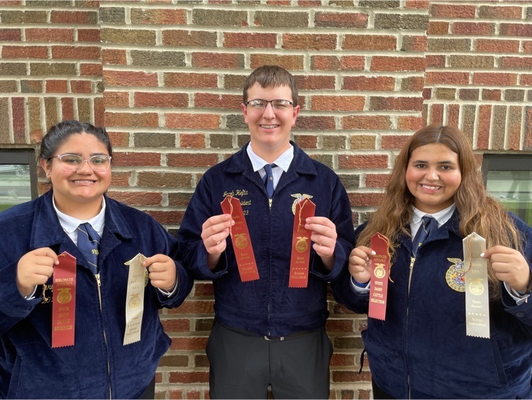 Live Feed Minto Public School