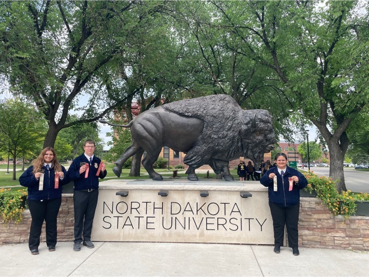 Live Feed Minto Public School